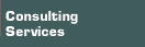 Consulting Services